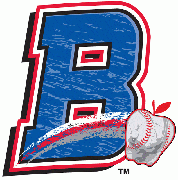 Rockland Boulders 2011-Pres Cap Logo iron on transfers for T-shirts